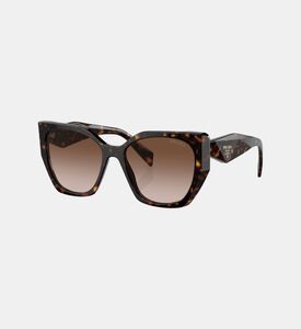 نظارة كات آي بعدسات متدرّجة 55