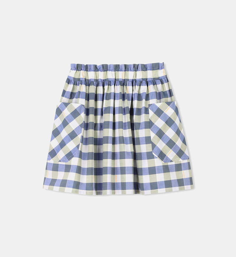 Pleated Flared Skirt
