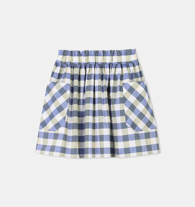 Pleated Flared Skirt