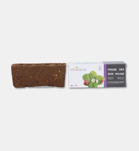 Veritable Gardens Wild Red Strawberry Plant, Packshot View