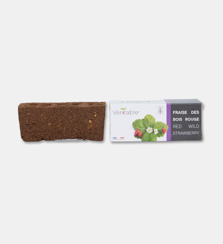Veritable Gardens Wild Red Strawberry Plant, Packshot View