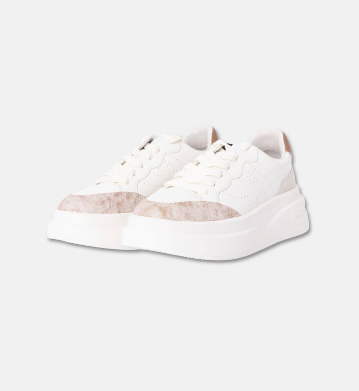 ASH Interceptor Sport Shoes, Packshot View