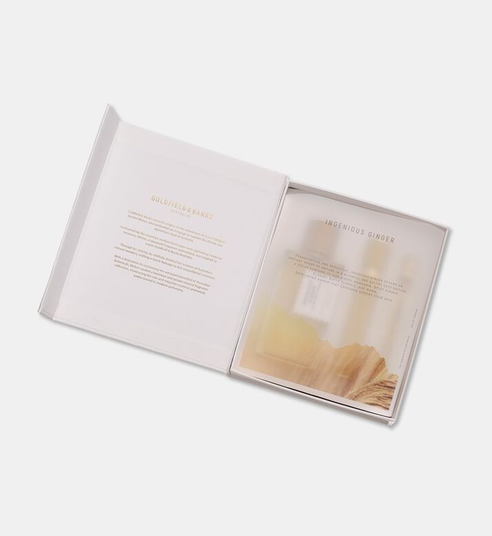 Goldfield&Banks Set Ingenious Ginger Deluxe 26, Packshot View