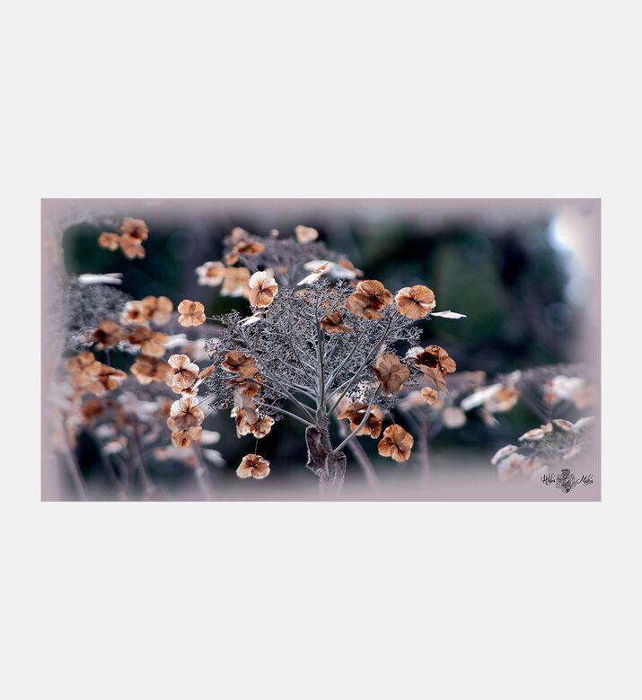 Whispers Of Autumn Wool Scarf