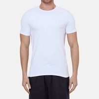 Crewneck Raglan Sleeve T-shirt