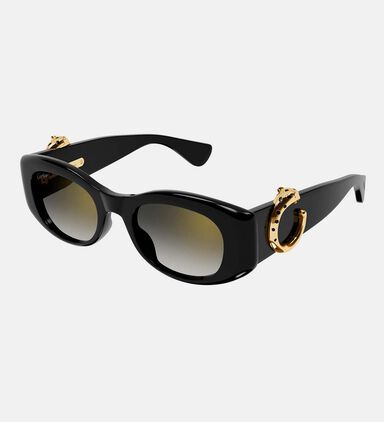 Cateye Oval Frame Sunglasses 51