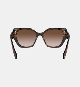 نظارة كات آي بعدسات متدرّجة 55