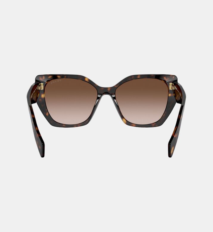 نظارة كات آي بعدسات متدرّجة 55