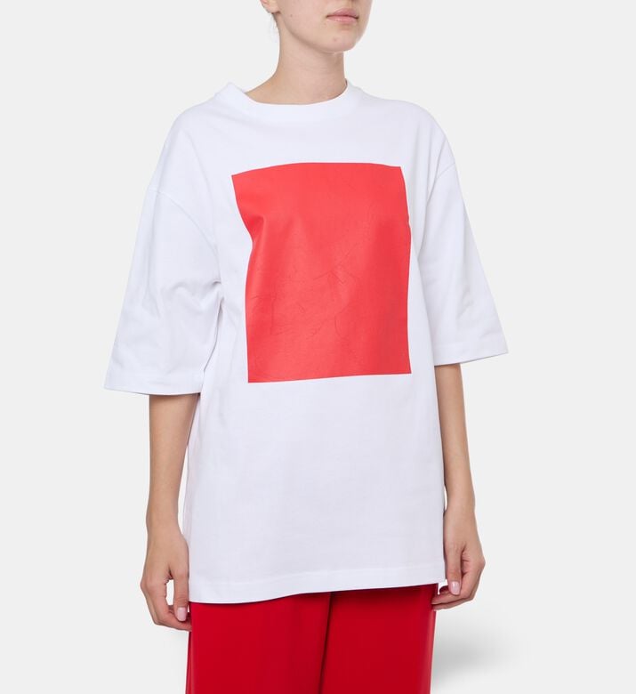 Bouguessa Ts Pablo, Model View