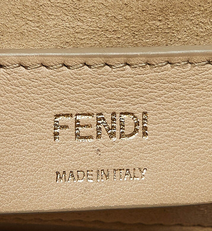 Fendi Preowned Fendi Black-brown Small Kan Shoulder Bag, Packshot View