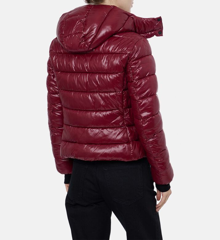 Save the Duck Snap Button Closure Padded Jacket, Red-wine, S, Model View