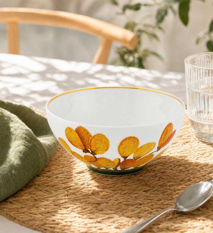 Vista Alegre Amazonia Cereal Bowl, Model View