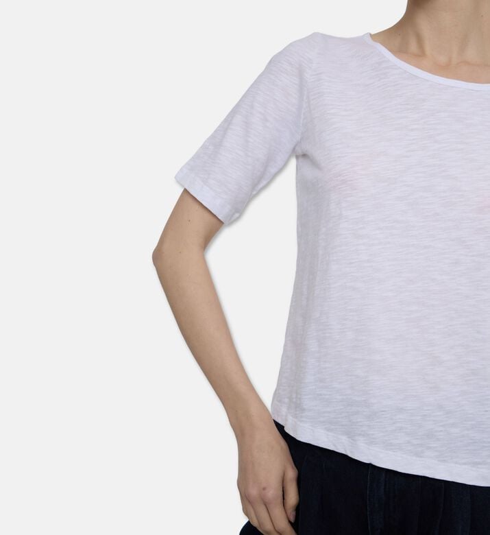 Ba and Sh Ts Vina, Model View