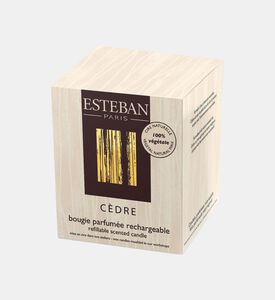 شمعة سيدر المعطرة القابلة لإعادة التعبئة