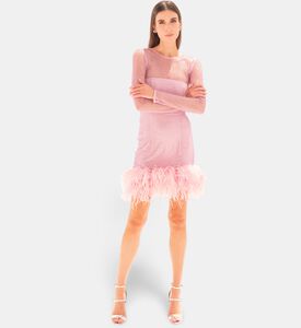 Savanna Feather-trimmed Crystal-embellished Mini Dress, Model View