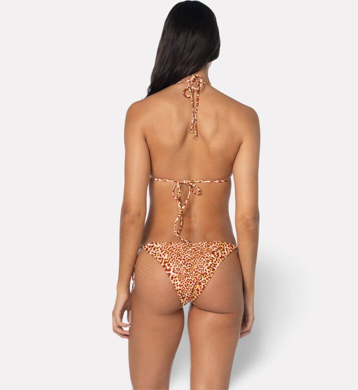 Maaji Swst Alana, Model View