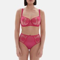 Intrigue Embroidered Retro Brief