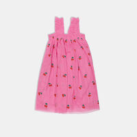 Embroidered Sleeveless Flared Dress