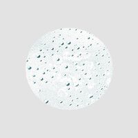 Tonique Vegetal Spray For Oily Scalp 150 Ml