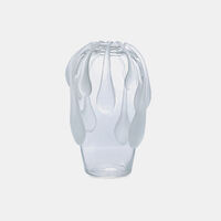 Crystal Frosted Vase