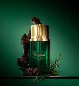 Cedar Malaki Eau De Parfum Gift Set