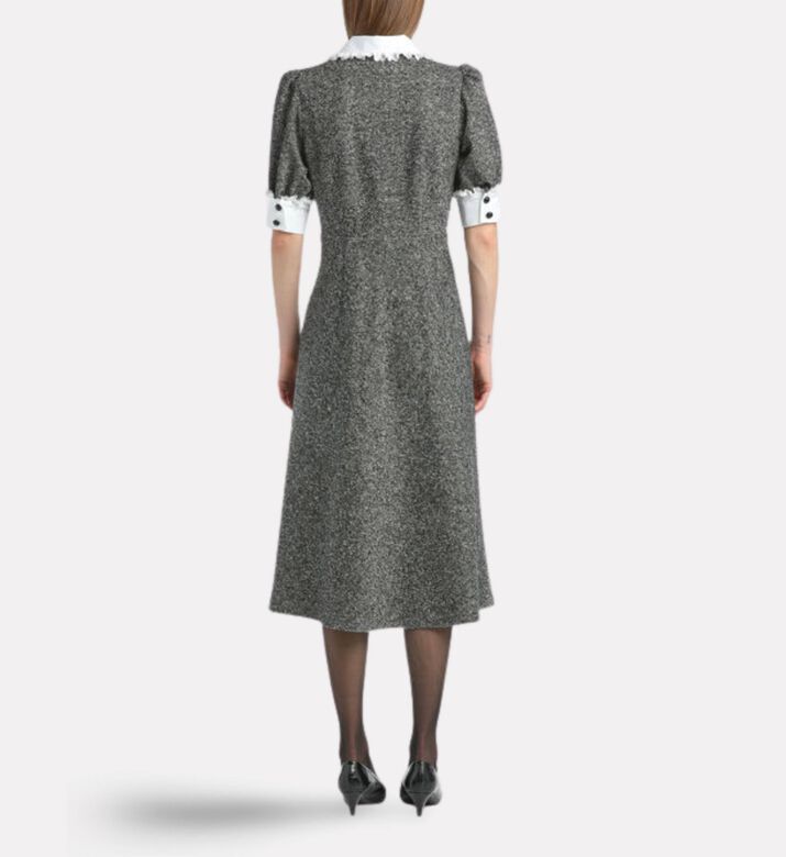 Luisa Spagnoli Dress, Model View