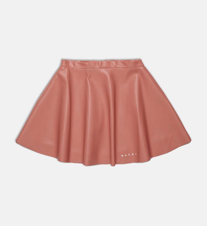 Flared Skater Mini Skirt