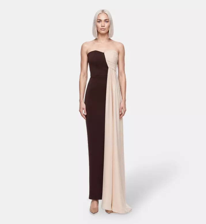 AAVVA Strapless Draped Panel Gown, Model View