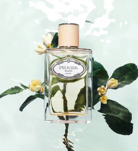 Moroccan Leather عطر