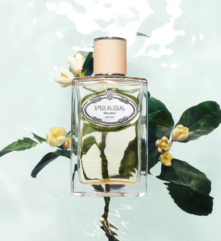 Moroccan Leather عطر