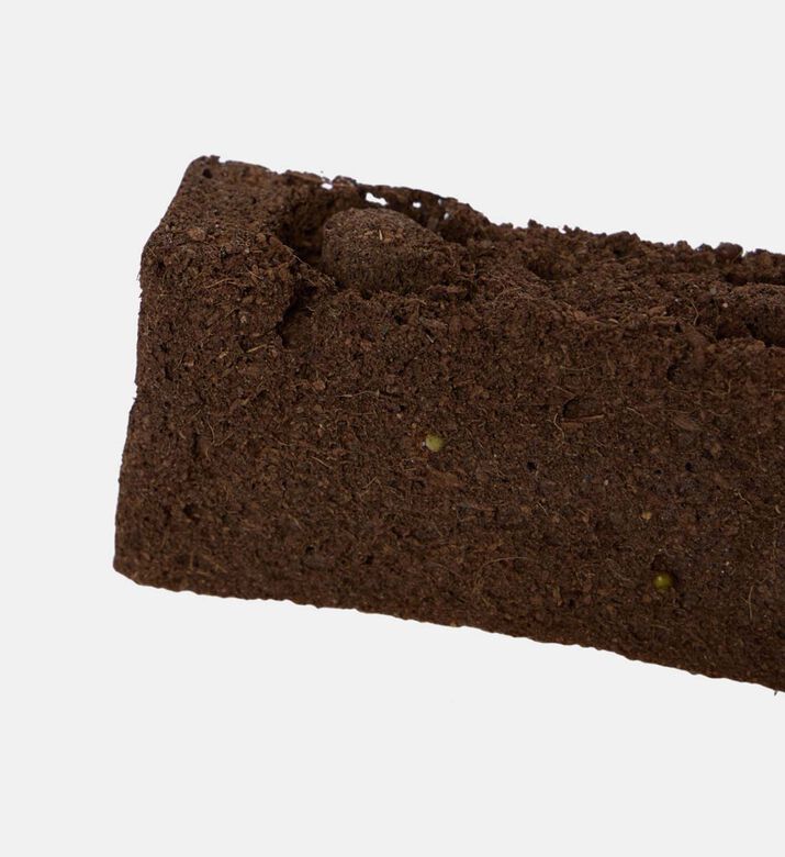 Lingot Multi Colored Pansy