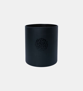 Pico Turquino Scented Candle