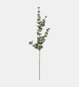 Shishi Eucalyptus Green, Packshot View