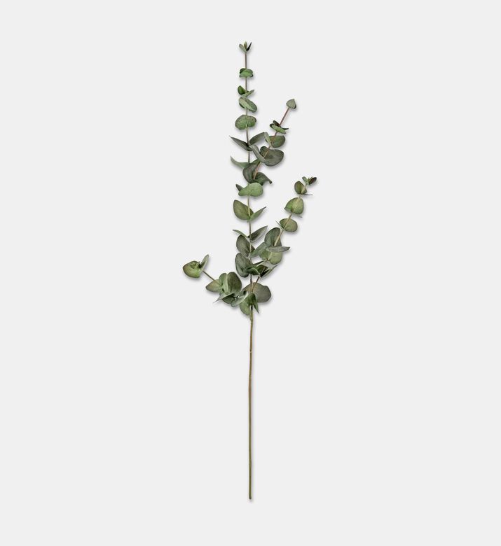 Shishi Eucalyptus Green, Packshot View