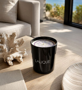 Lalique Amalfi Figuier Scented Candle, Packshot View