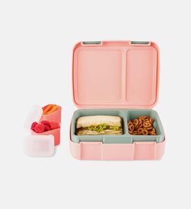 صندوق بنتو بطبعة قطة