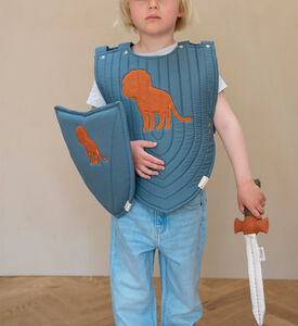 طقم درع فارس تنكري برسمة أسد