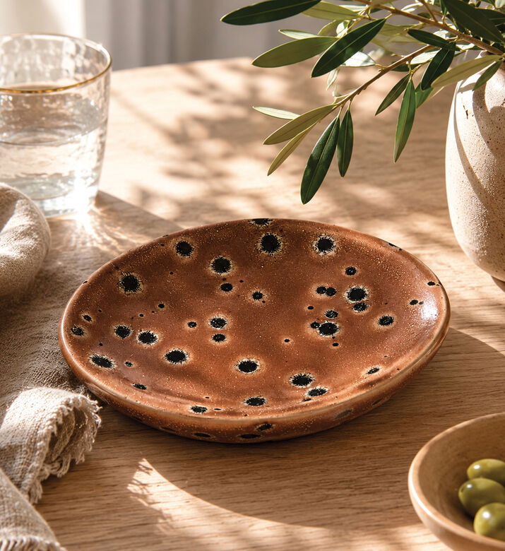 Aquanova Ugo Camel Soap Dish, Packshot View