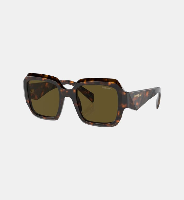 Square Tortoiseshell Sunglasses 53