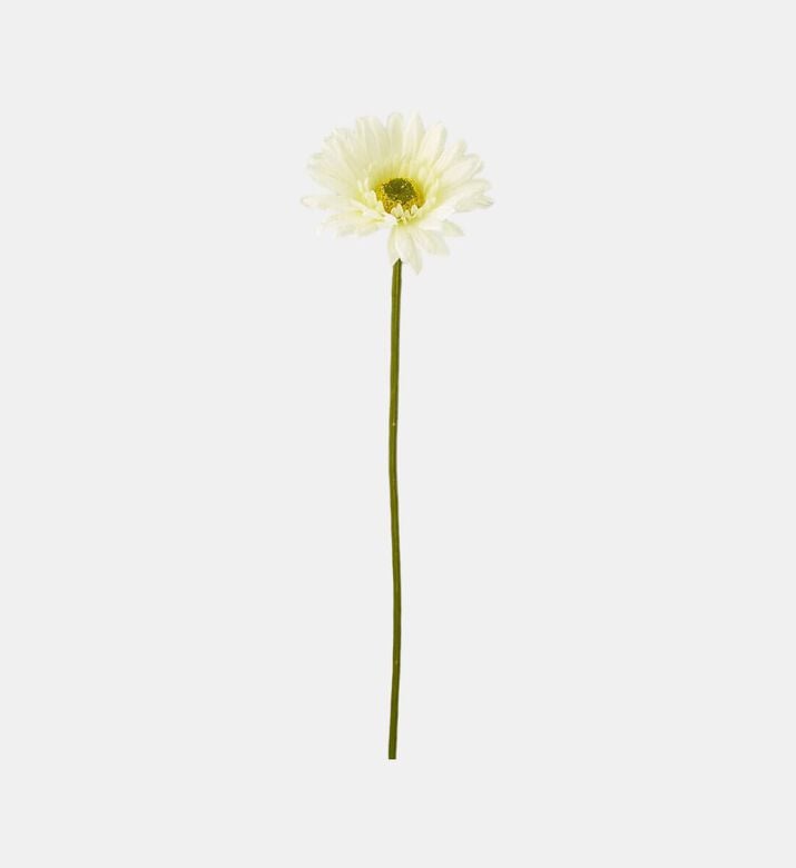 Edg Prix Gerbera Branch, Ivory, Packshot View