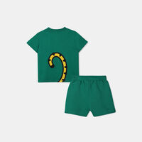 Tiger Graphic Print Set