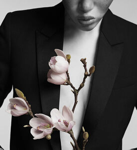 شمعة جمبسوت من لو فيستياير دي بارفان