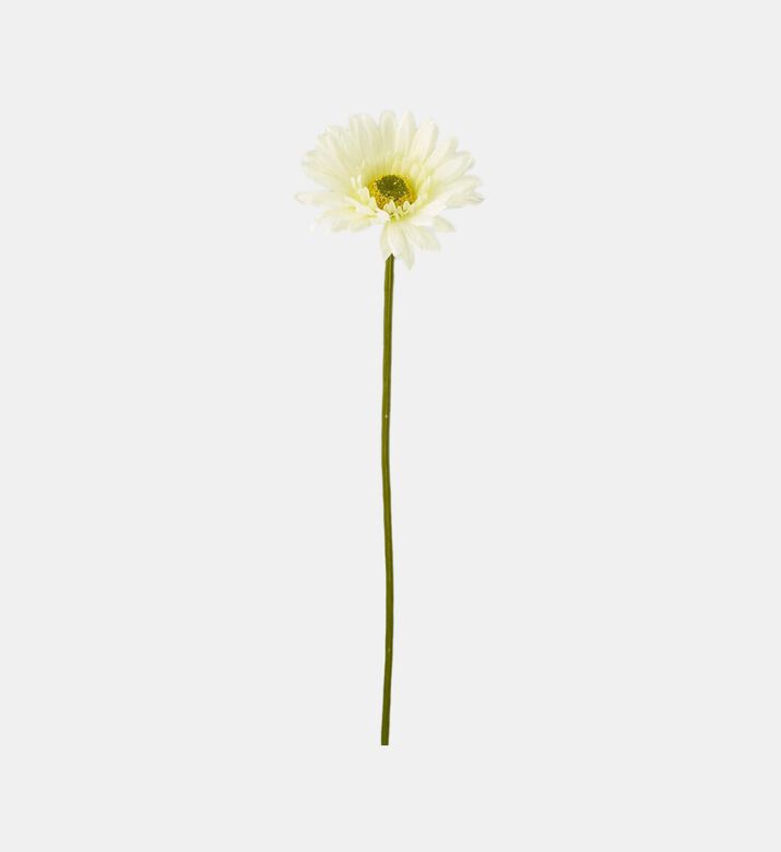 Prix Gerbera Branch