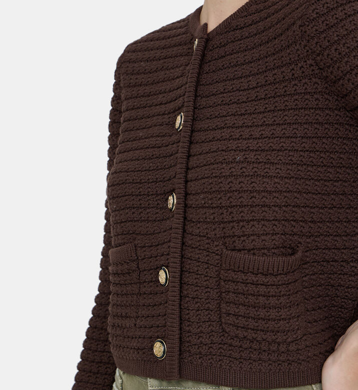 كارديغان غاسبارد كروشيه شبكي