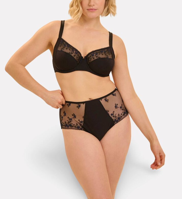 Simone Perele Brief Retro, Model View