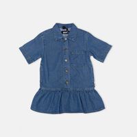 Celise Denim Ruffled Hem Dress