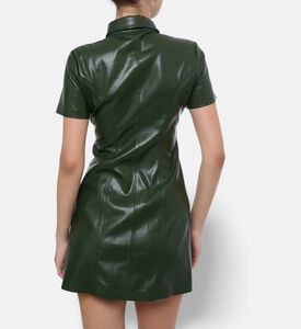 Alice and Olivia Dress Jamie, Model View