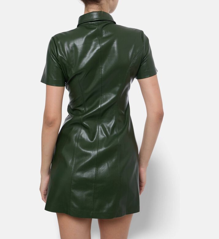 Alice and Olivia Dress Jamie, Model View