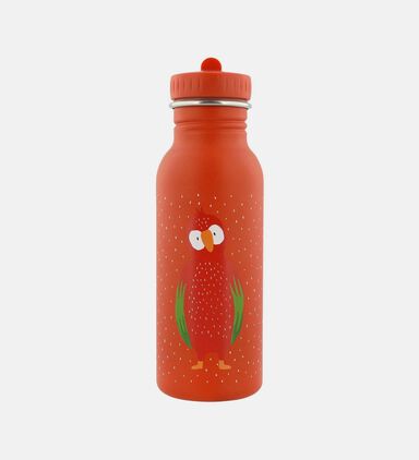 Parrot Stainless Steel Bottle