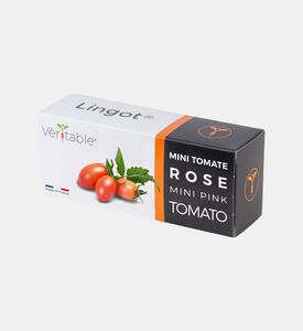 لينغو شبت عضوي